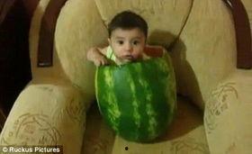 免费吃瓜的视频 第1张 免费吃瓜的视频 第1张